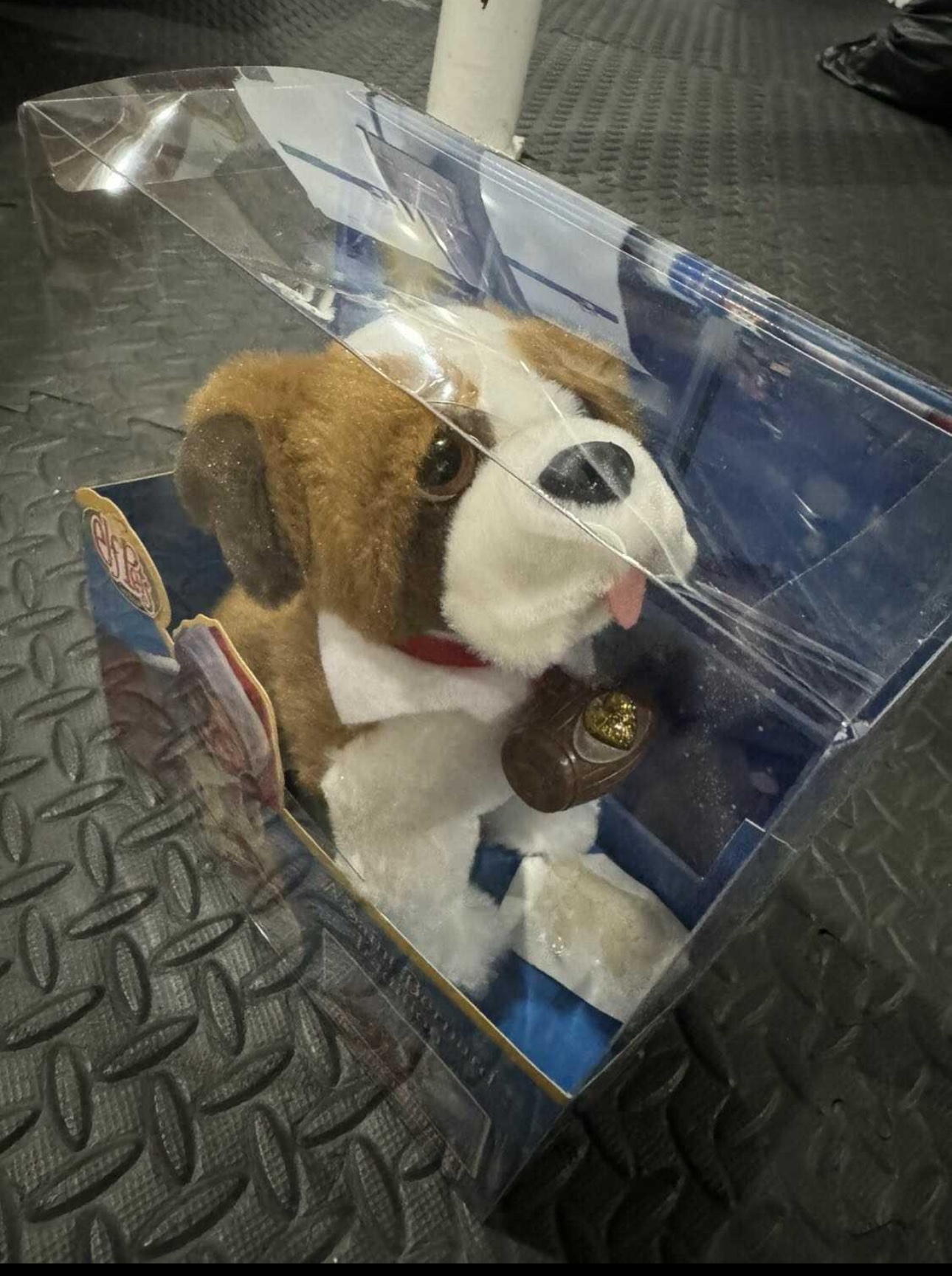 Elf Pets Saint Bernard - photo 2