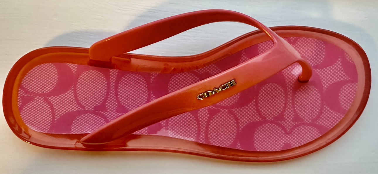 Coach Nisa Sandal