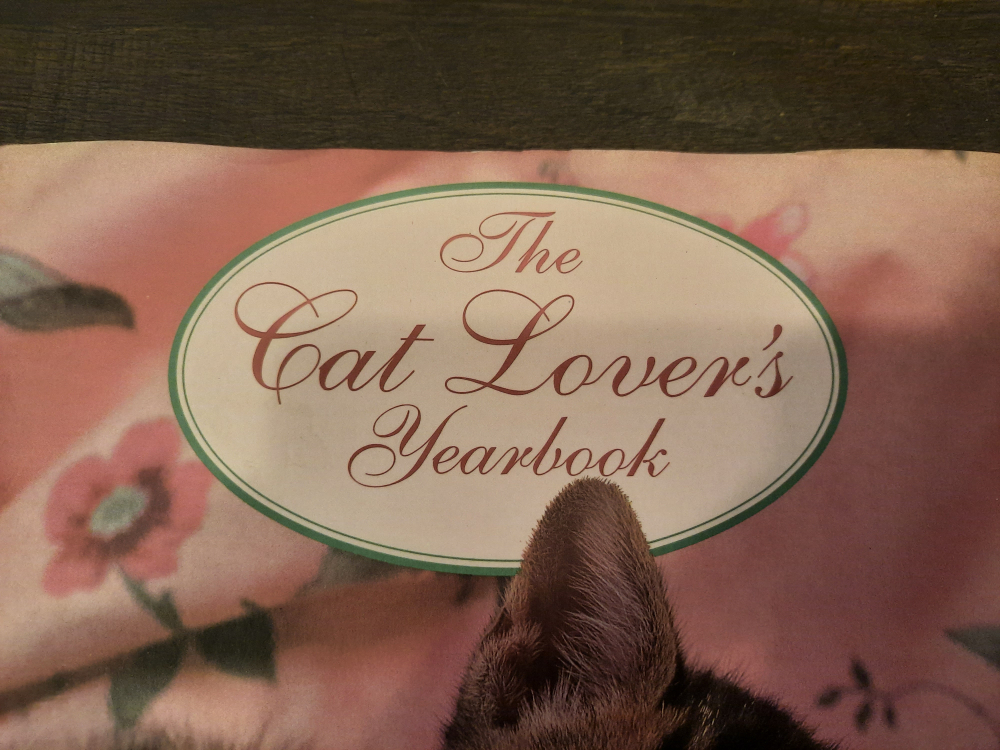 Moving sale ⚠️🚨 Booklet and Yearbook for cat lovers - photo 2