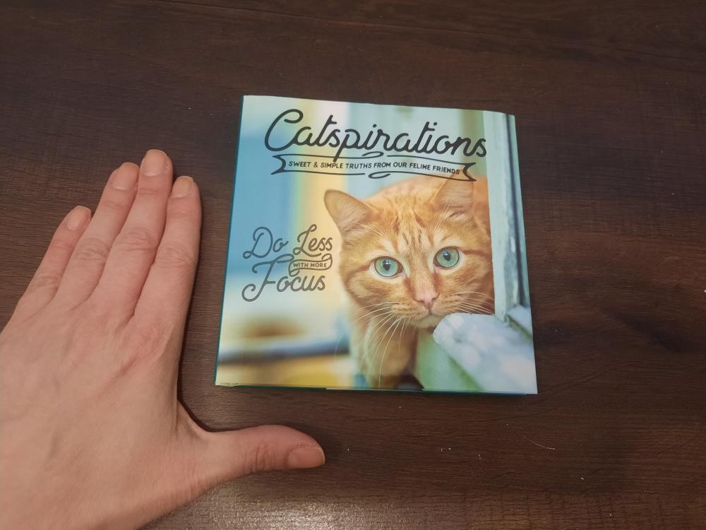 Moving sale ⚠️🚨 Booklet and Yearbook for cat lovers - photo 3
