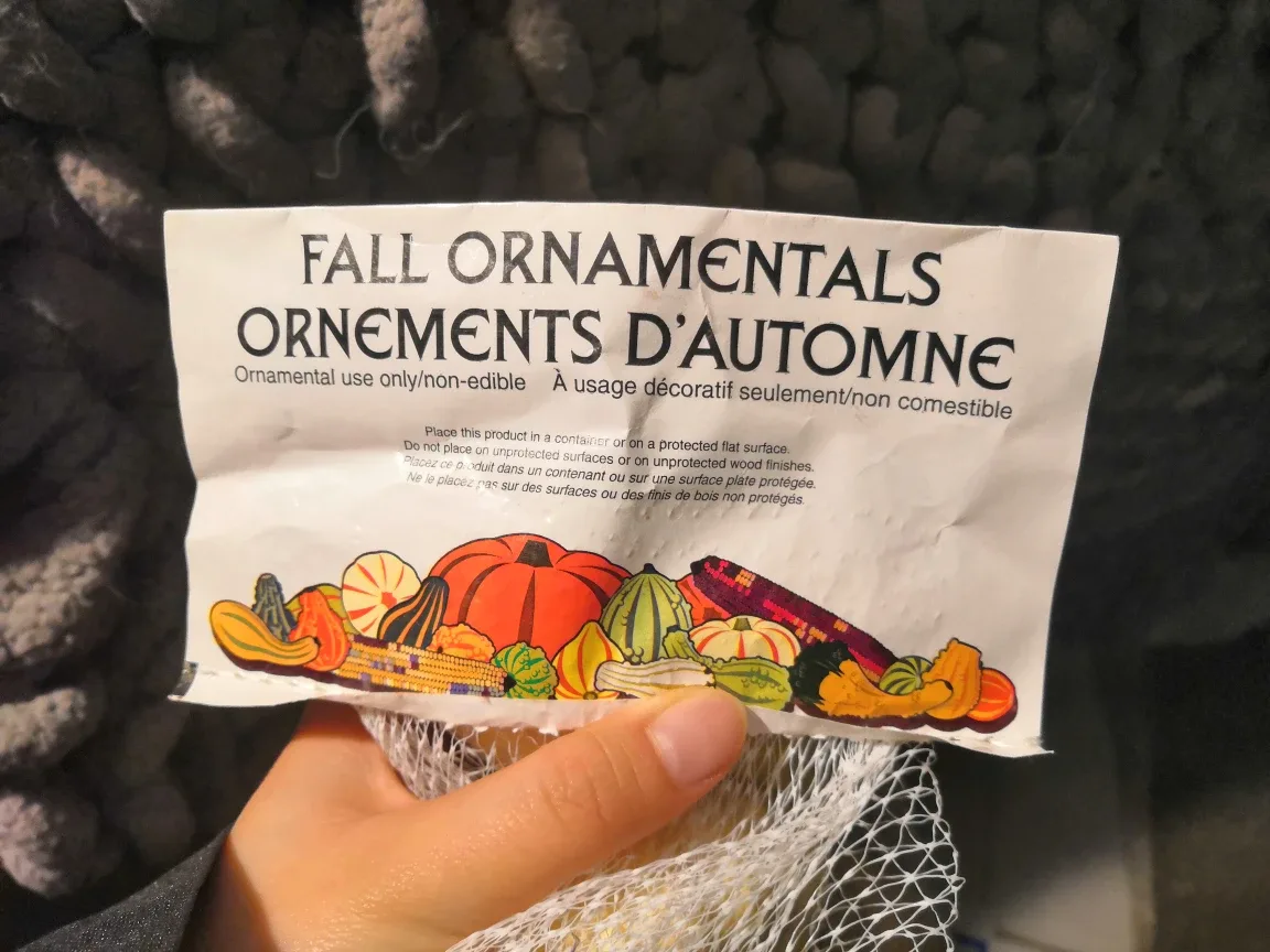 White Mini Pumpkins - 8 Count thumbnail