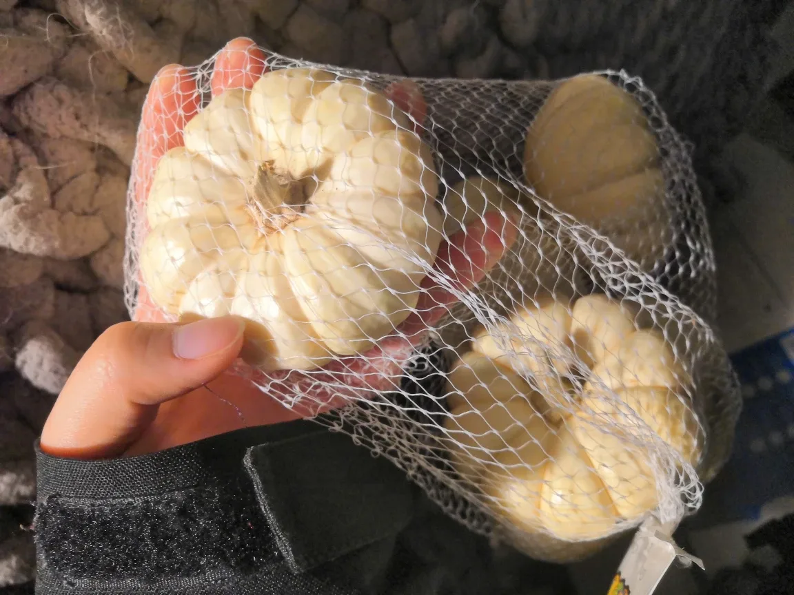 White Mini Pumpkins - 8 Count image indicator(4)