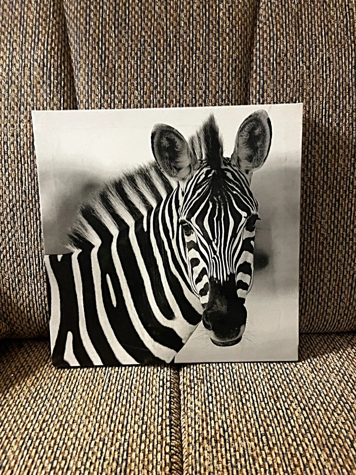 Zebra Canvas Wall Art image indicator(10)