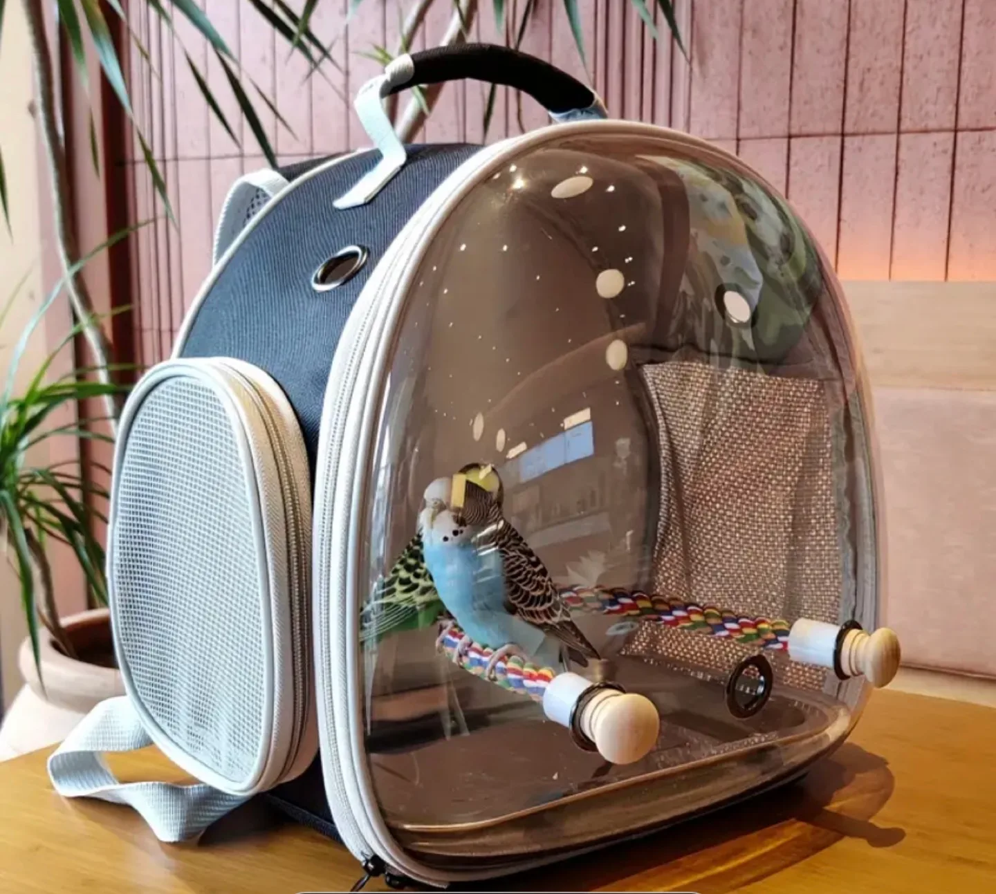 Pet Carrier Backpack thumbnail