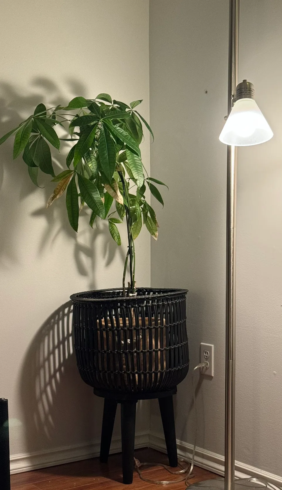 Black Wicker Planter thumbnail