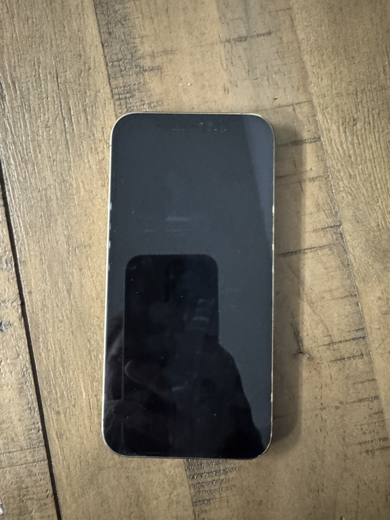 iPhone 12 Pro