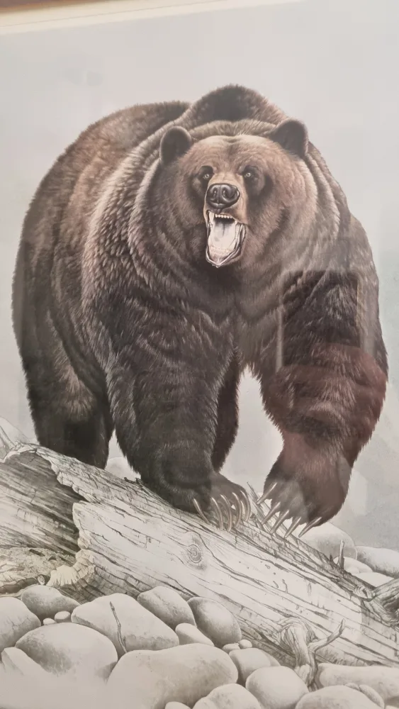 Framed Grizzly Bear Print by Glen Loates image indicator(3)