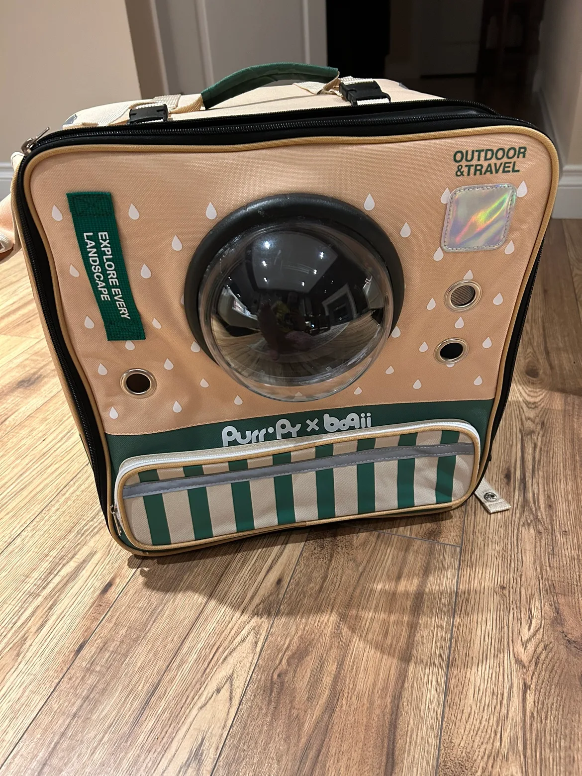 Pet Carrier Backpack thumbnail