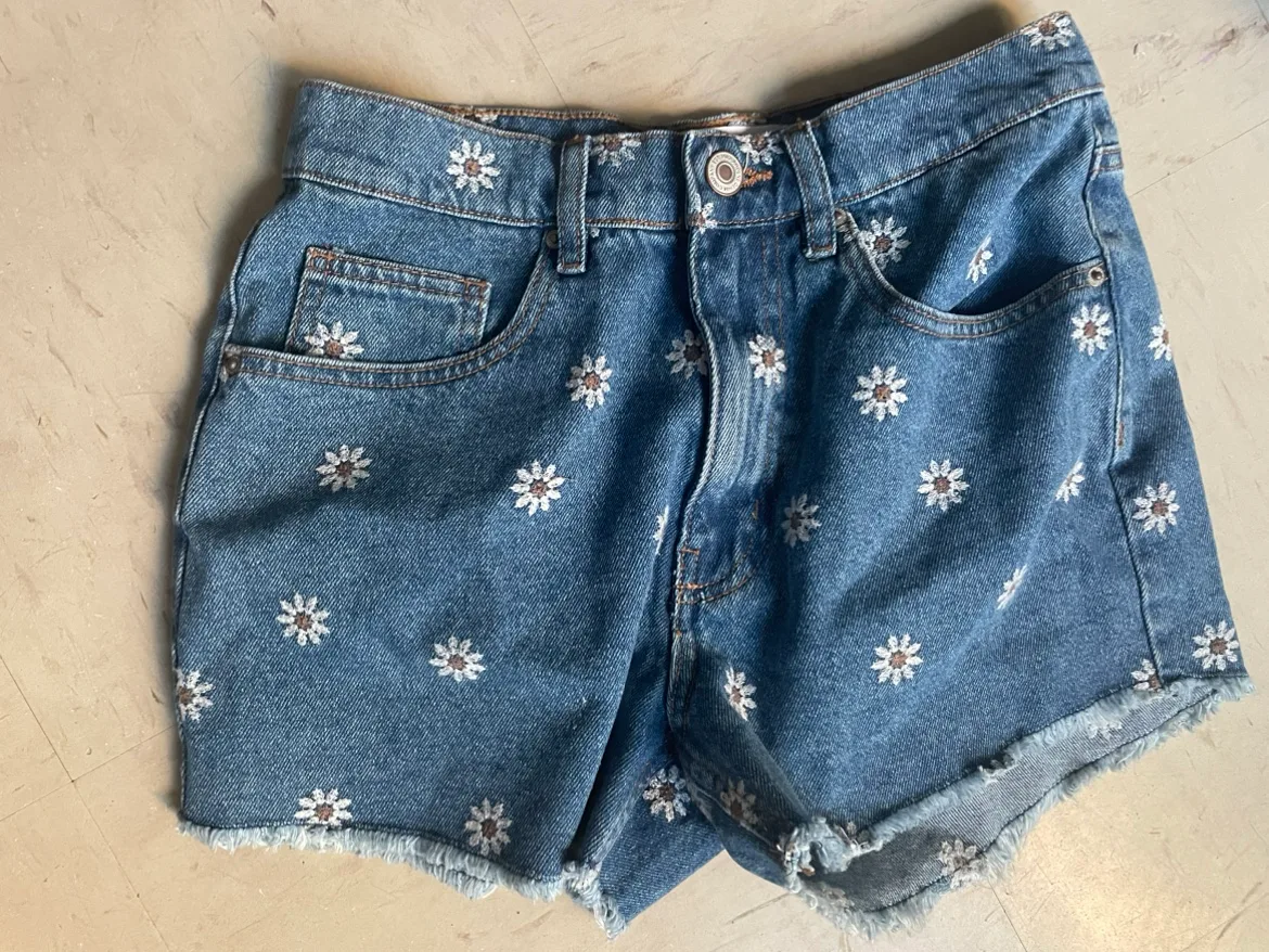 Ardene Daisy Embroidered Denim Shorts