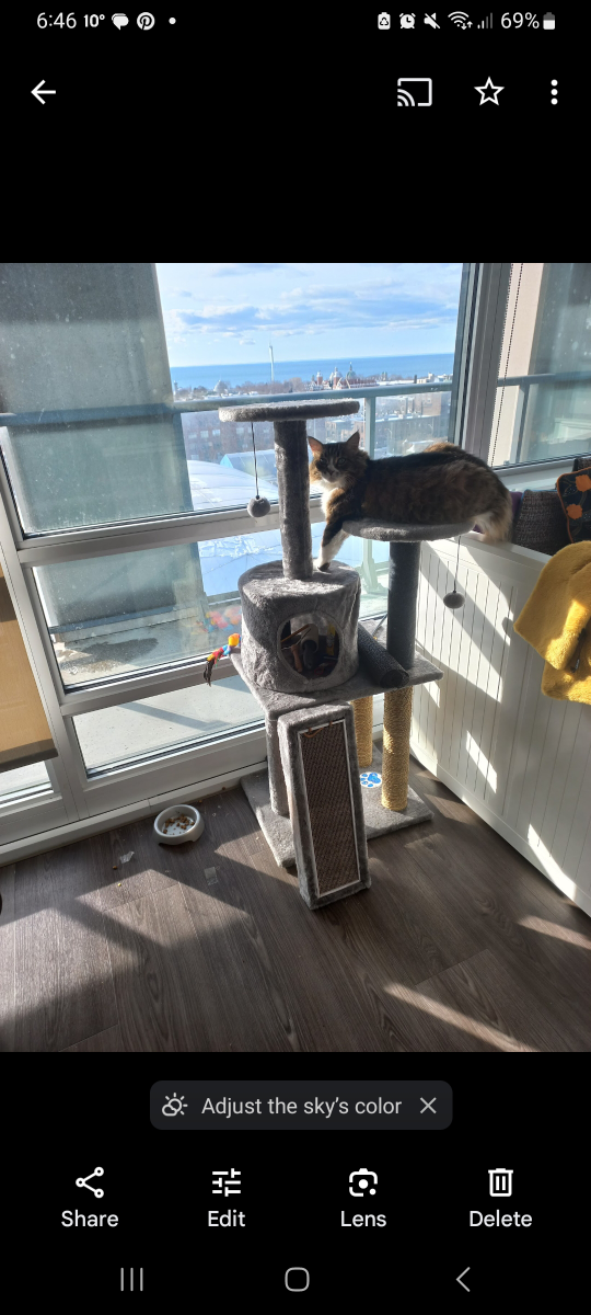 Cat Tree