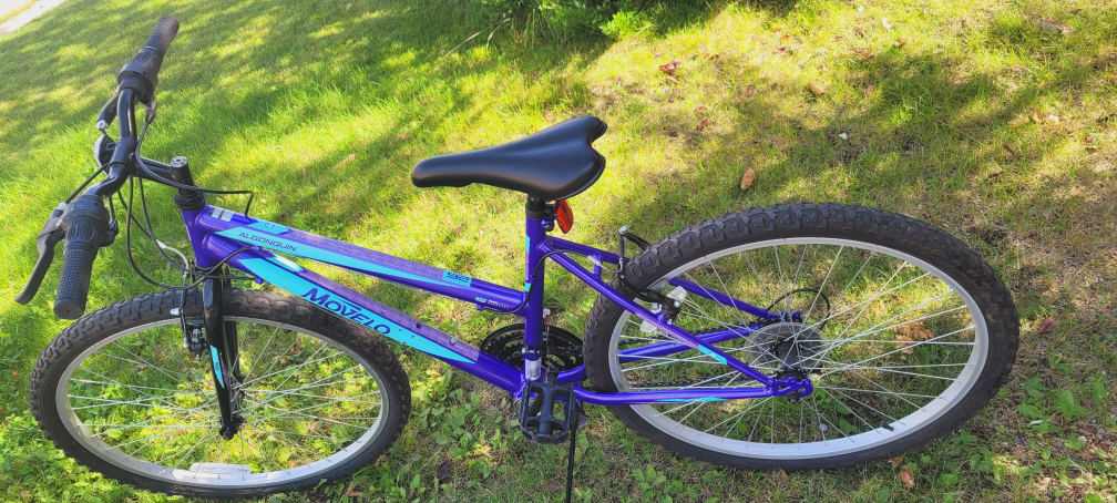 Movelo Bike - photo 2
