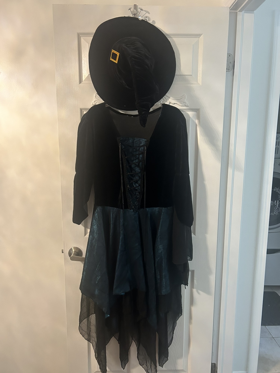 Adult Halloween costumes - photo 3