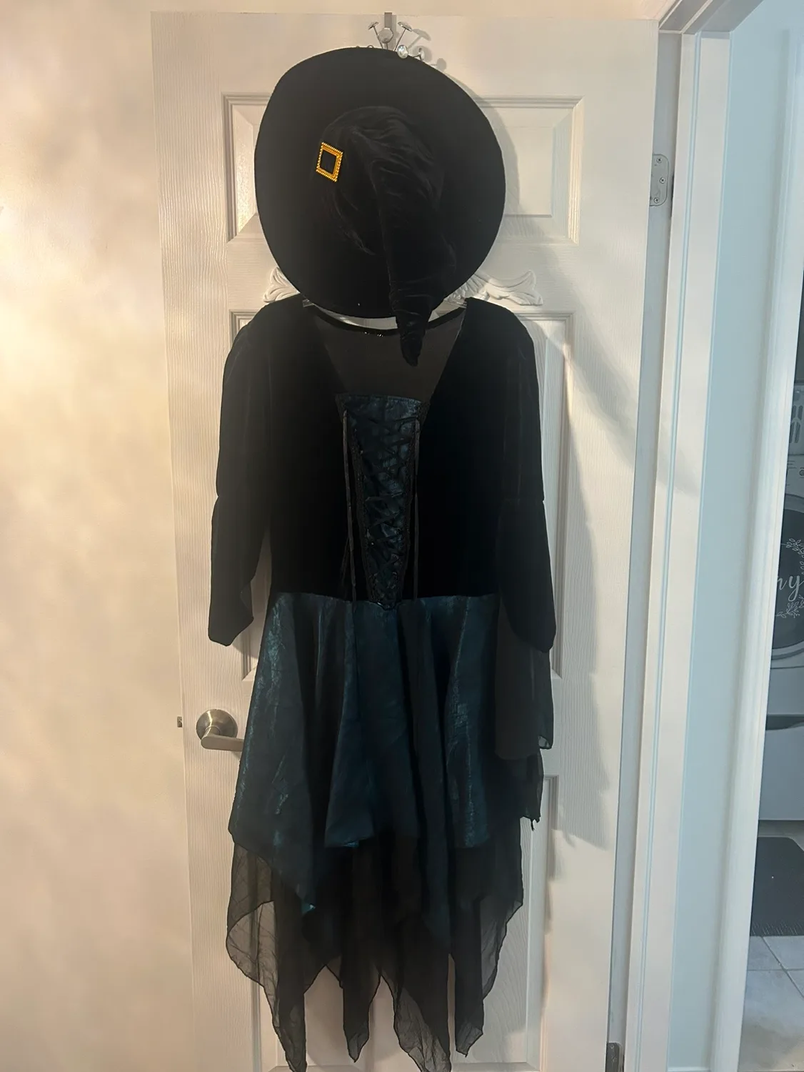 Adult Halloween costumes image indicator(3)