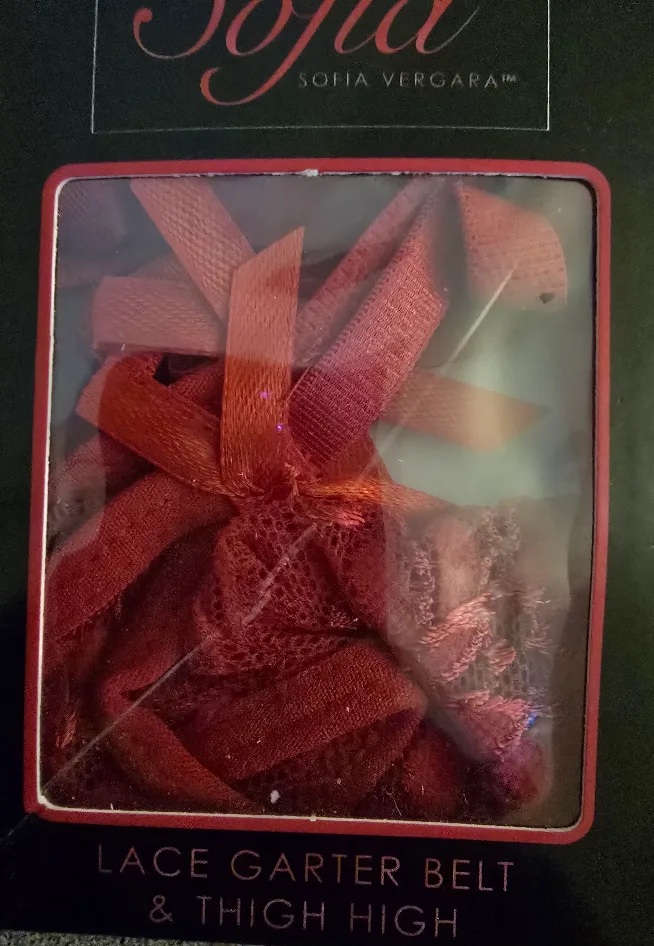 Sofia Vergara Lace Garter Belt & Thigh High Size S/M image indicator(3)