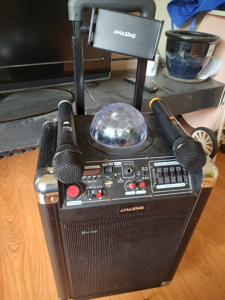 Portable Karaoke Machine with Dual Microphones & Disco Light
