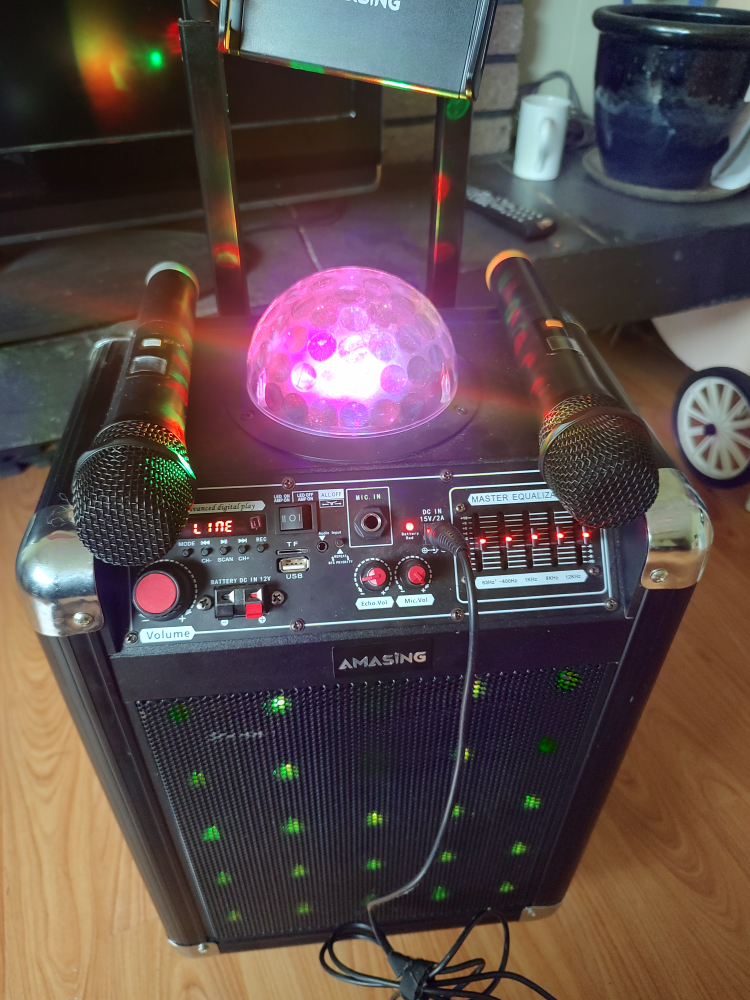 Portable Karaoke Machine with Dual Microphones & Disco Light - photo 2