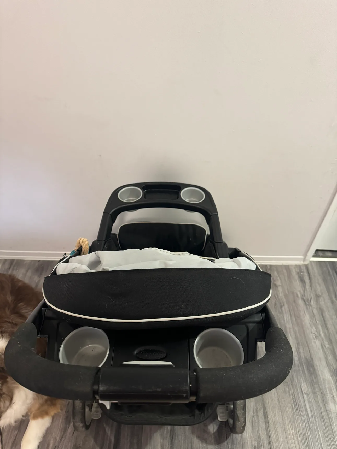 Graco Stroller image indicator(3)