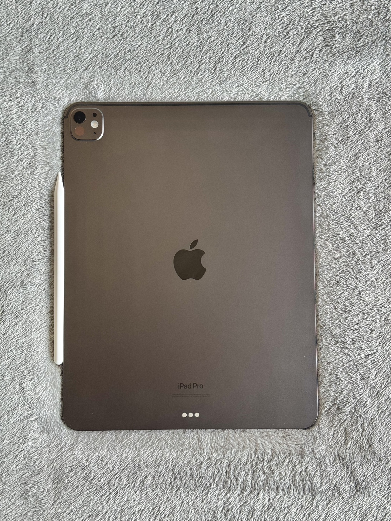 iPad Pro 13-inch (M4) Wi-Fi 256GB - photo 5