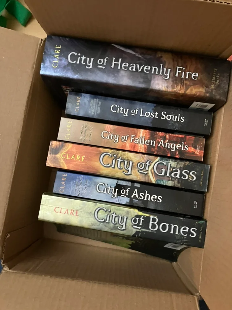 Shadow hunters book set thumbnail