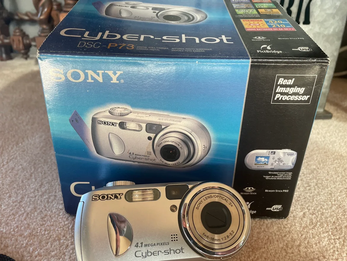 Sony Cyber-shot DSC-P73 Digital Camera image indicator(2)