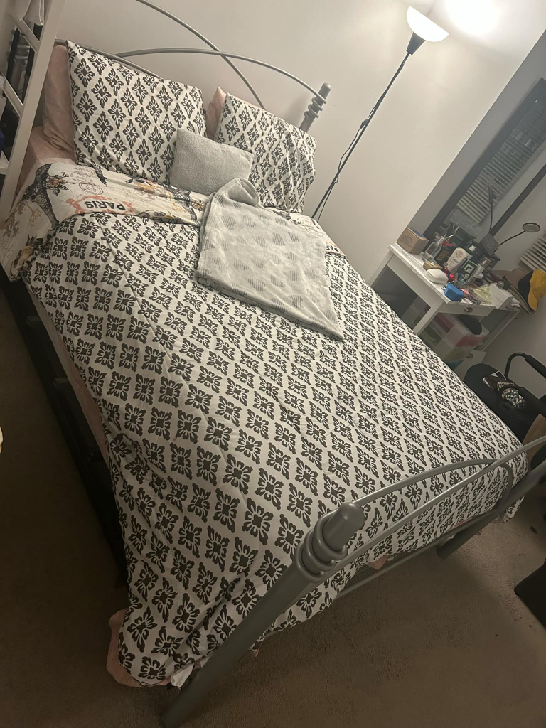 Queen Metal Bed Frame and box spring