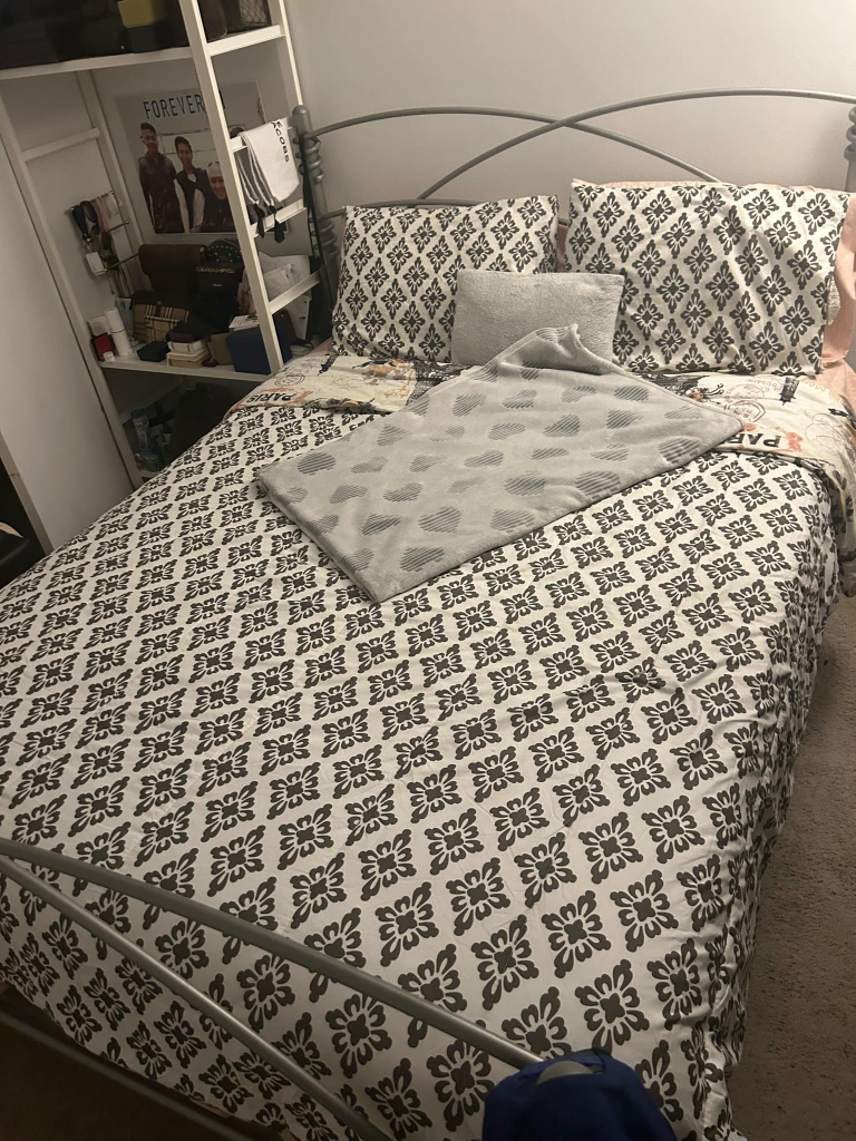 Queen Metal Bed Frame and box spring - photo 2