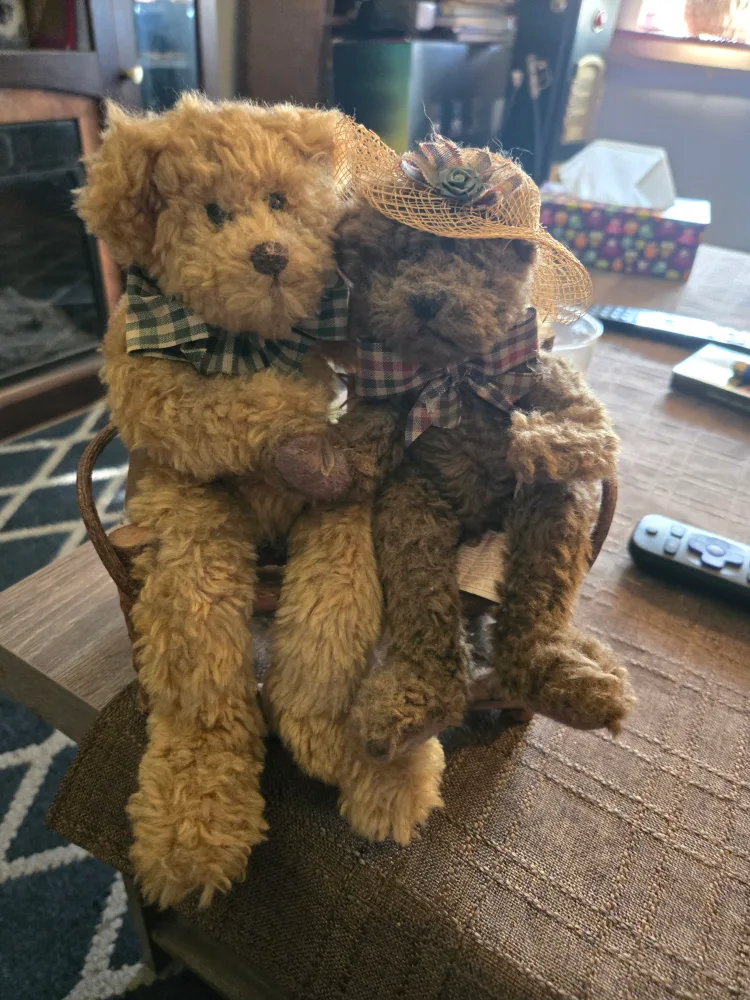 Two Plush Bear Stuffed Animals thumbnail