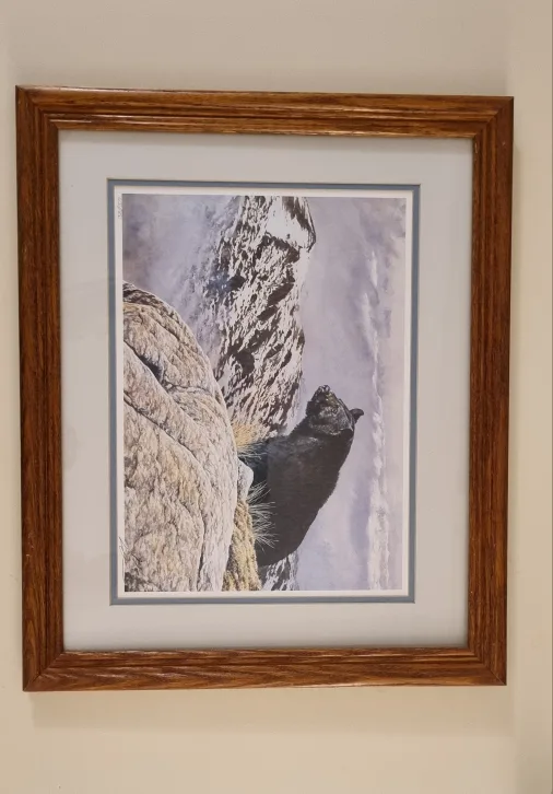 Limited Edition Black Bear Print image indicator(4)