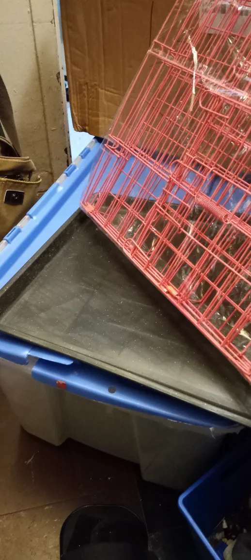 pink crate for female puppy image indicator(2)