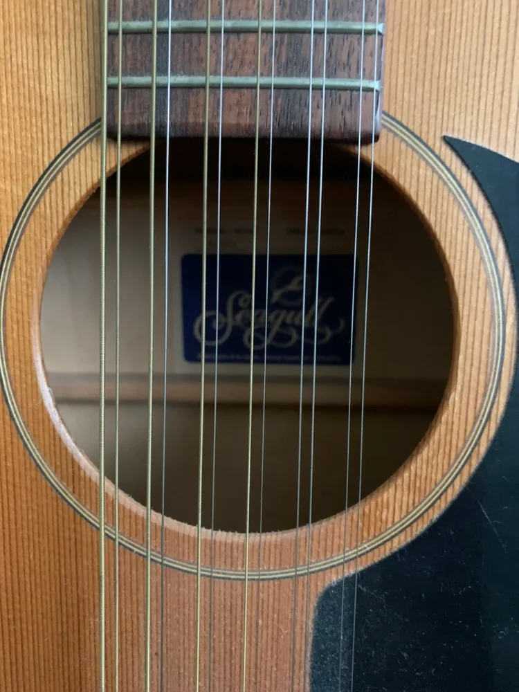 Seagull 12 String Acoustic Guitar and stand image indicator(3)
