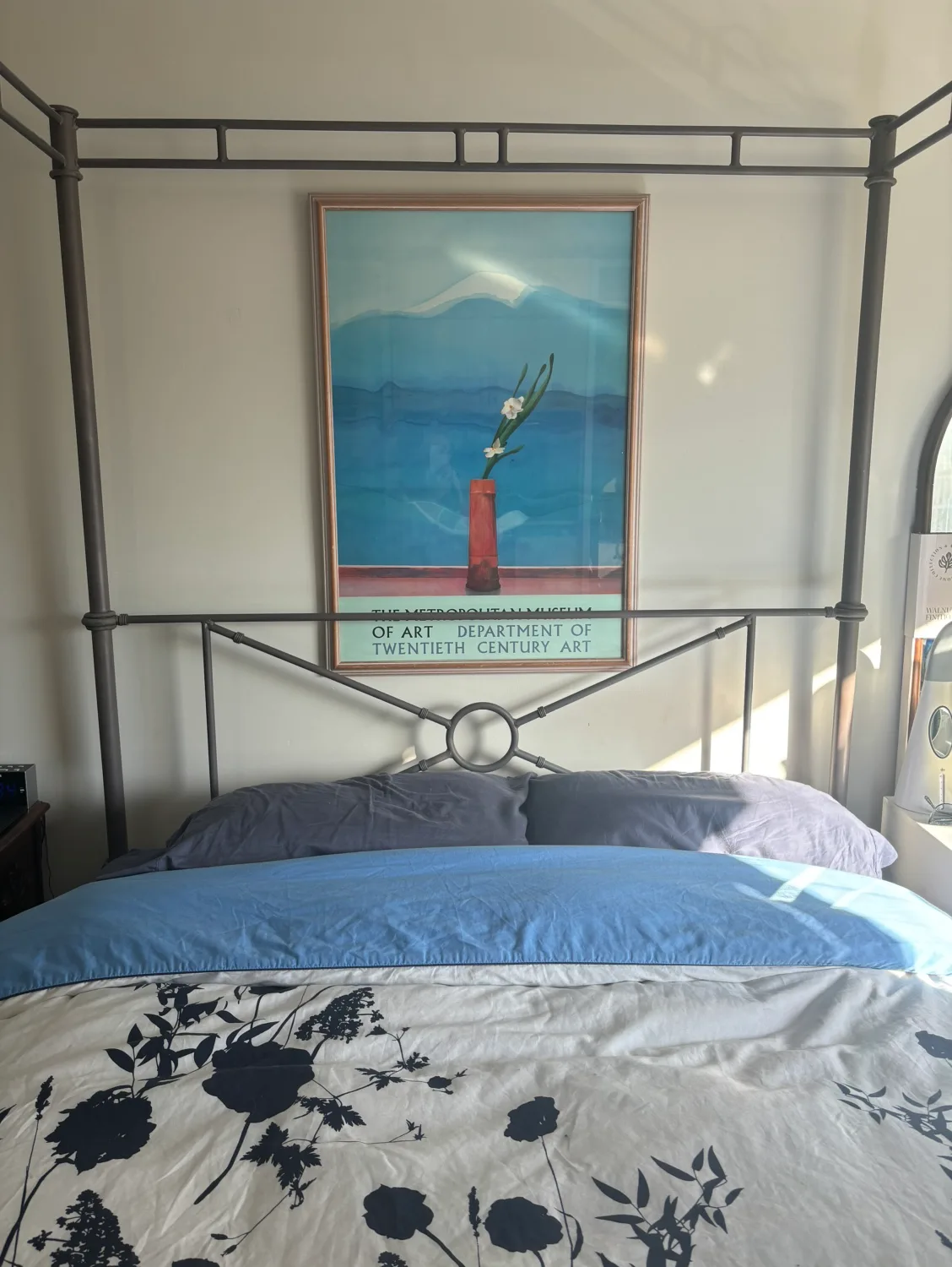 Metal Canopy Queen Size image indicator(6)