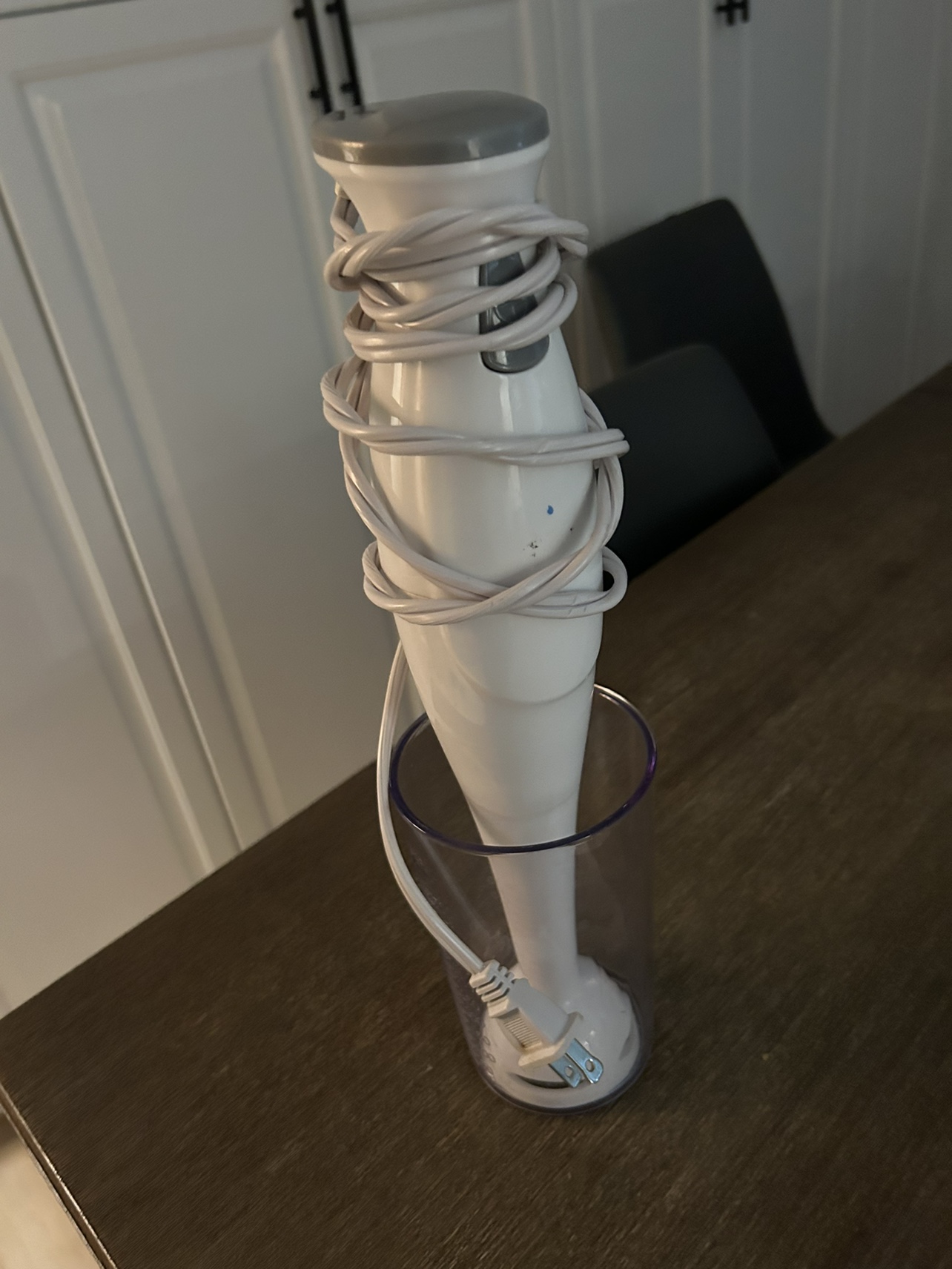 Immersion Blender