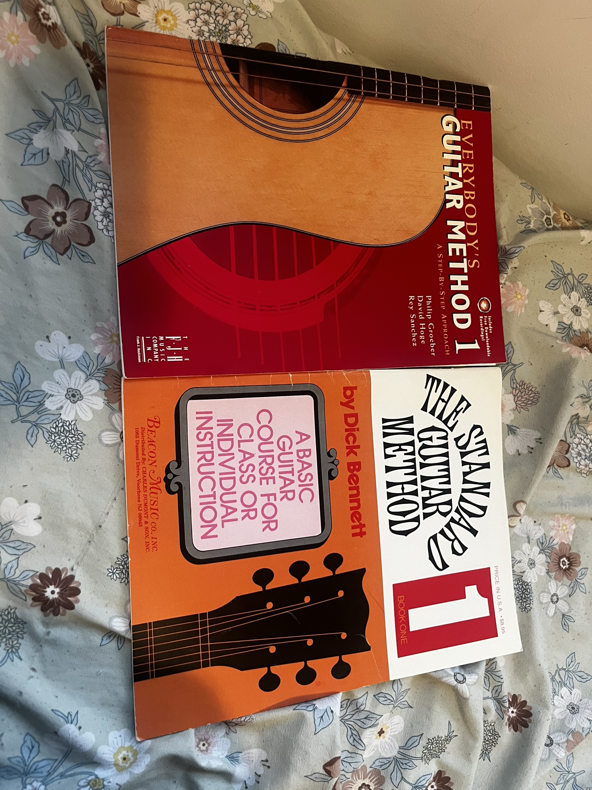 Denver acoustic guitar - photo 2