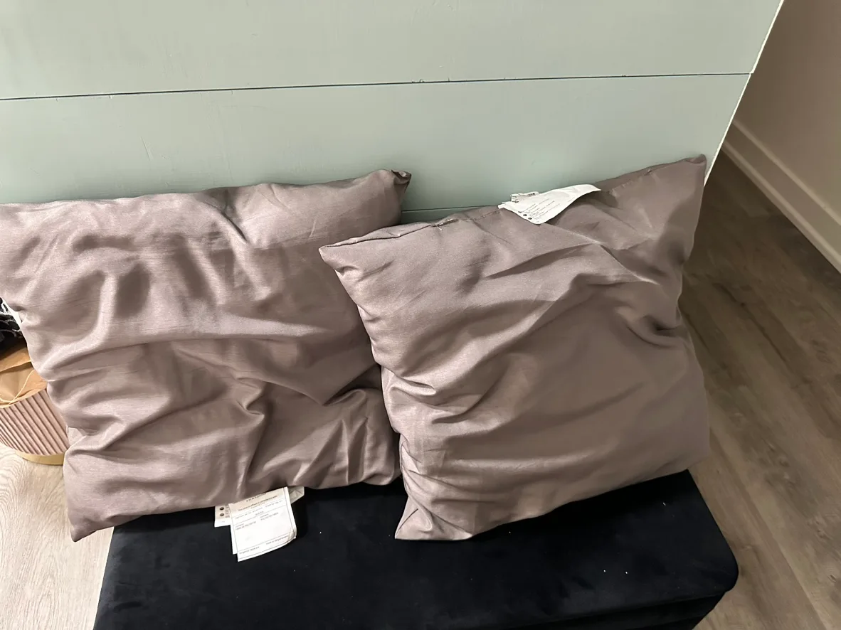 Free Set of 2 pillows thumbnail