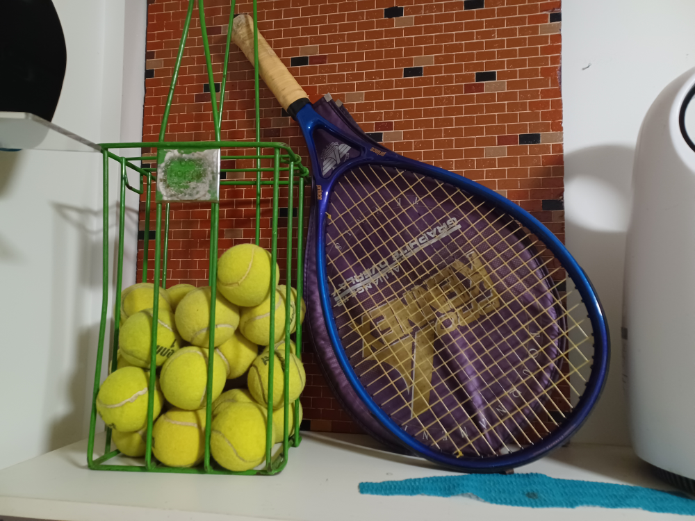 Tennis Racket & Balls cage - photo 4