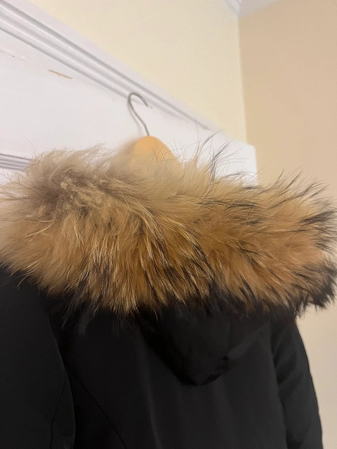 Black Winter Coat with Fur Trimmed Hood image indicator(3)