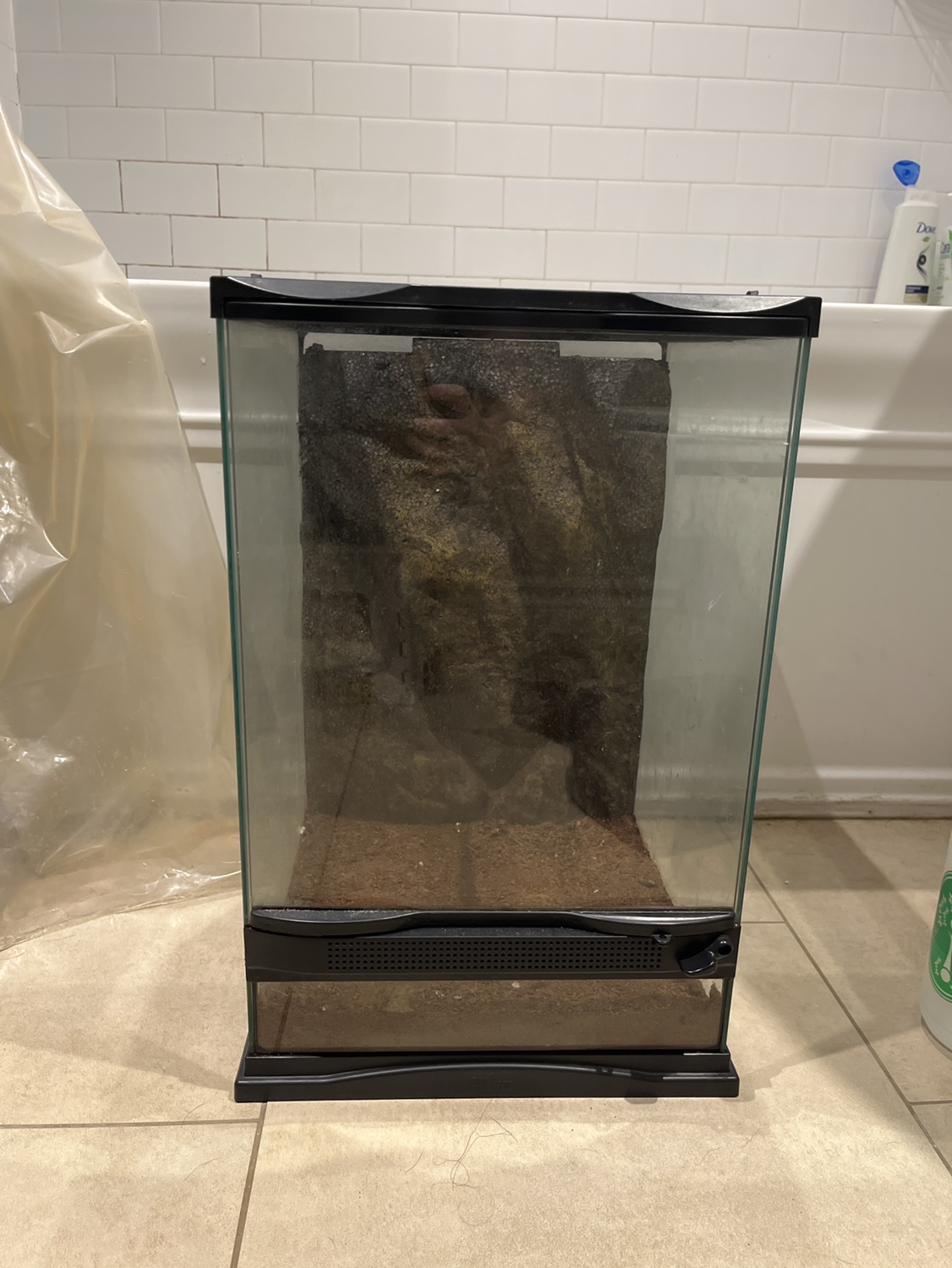 Glass Reptile Tank/Terrarium - photo 3