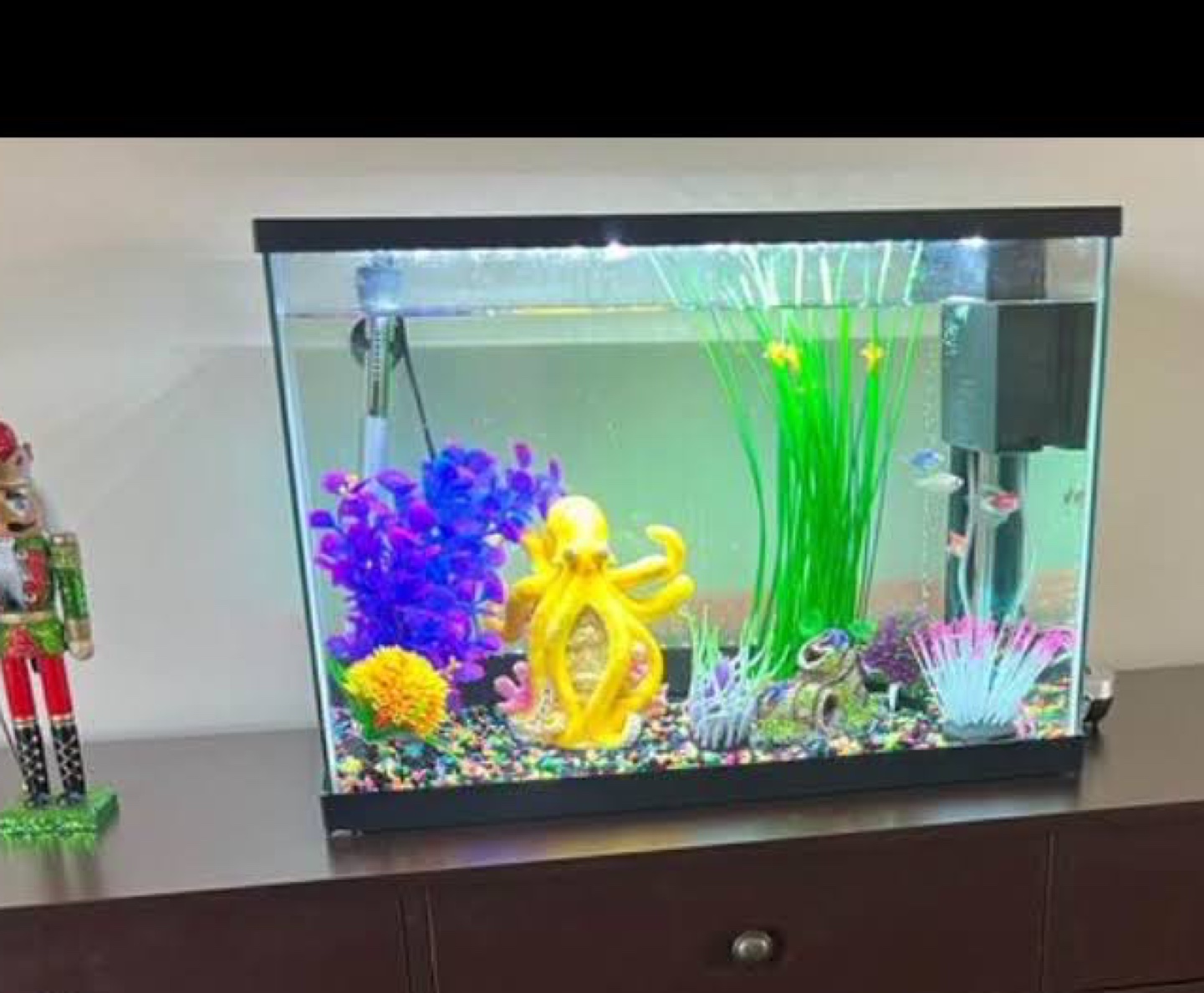 Fish Tank