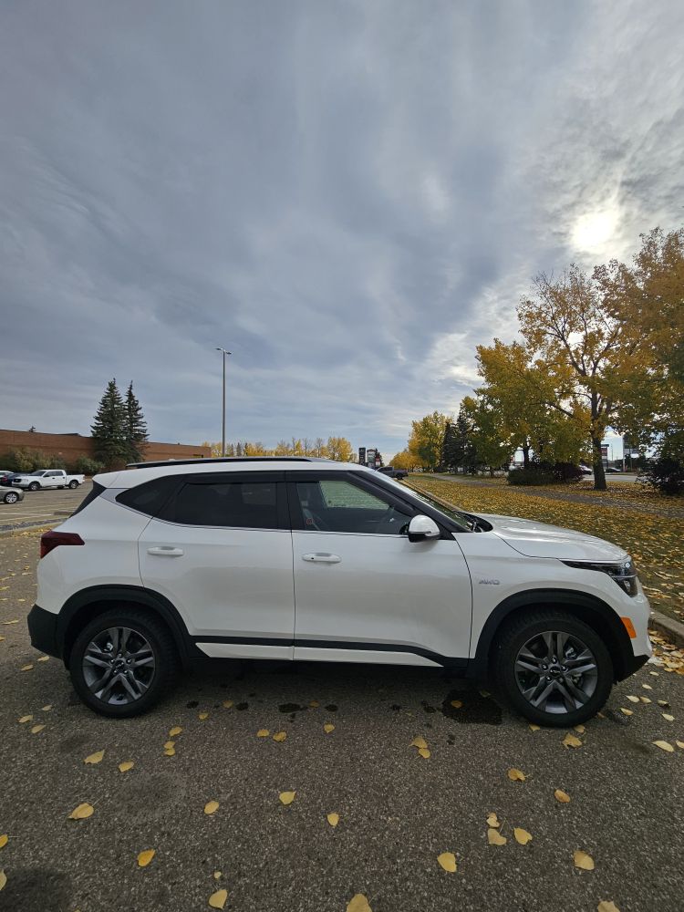 2023 Kia Seltos EX - photo 3