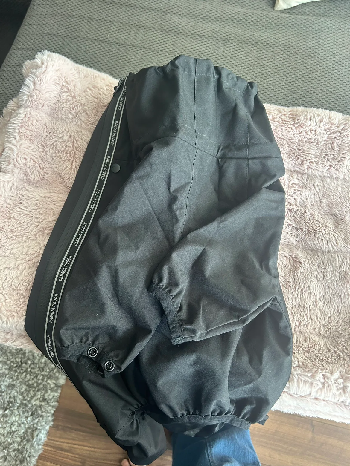 Dog clothing for Winter ❄️ Season!! image indicator(2)