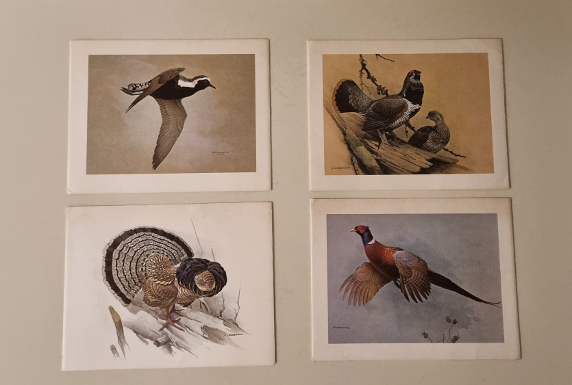 Set of 4 Christmas Cards Vintage Bird Prints