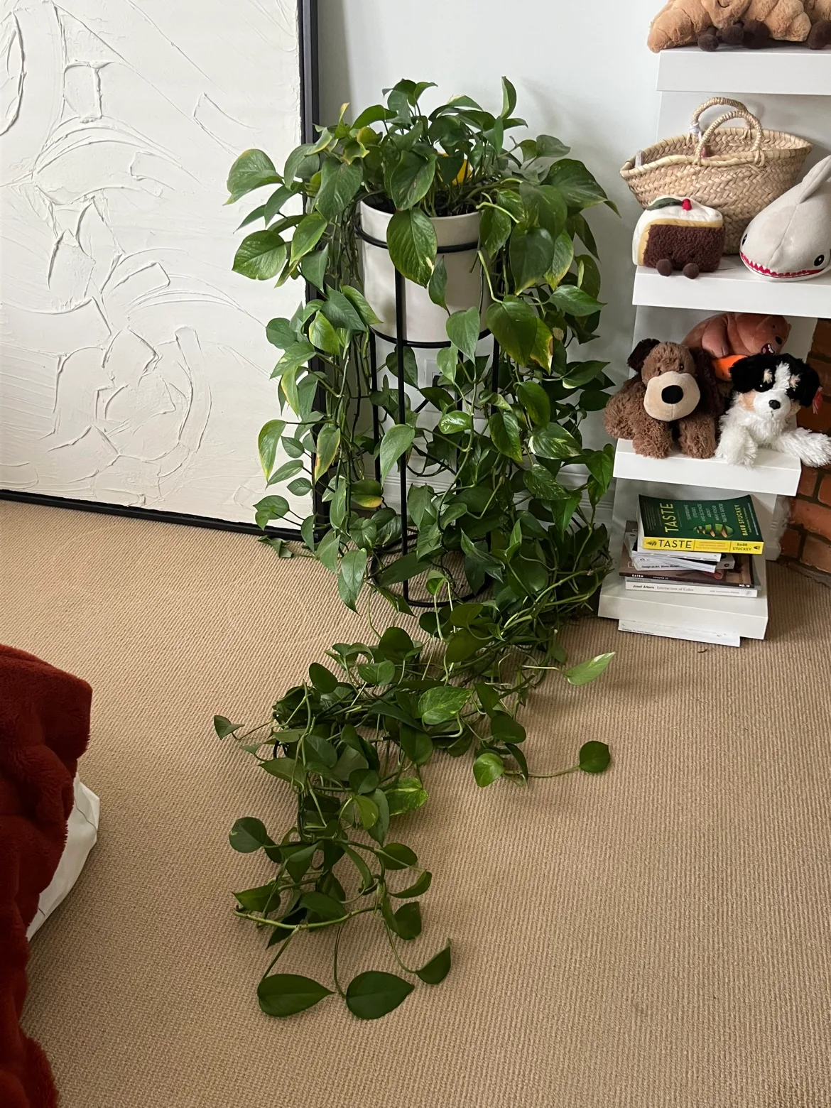 Large Pothos with Pot & Stand thumbnail