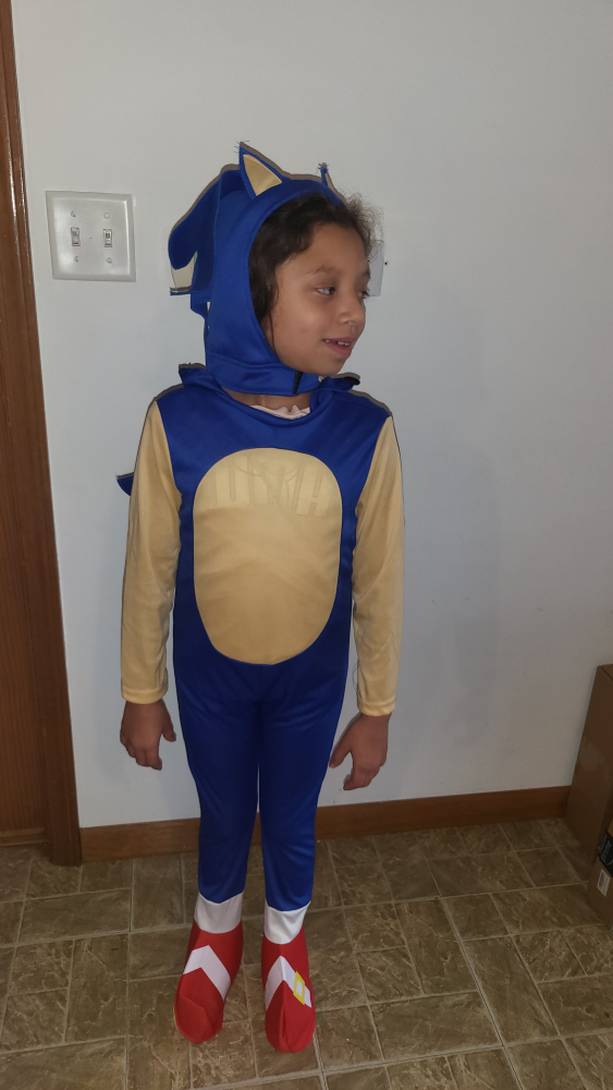 Halloween Costume Sonic The Hedgehog 7/8 - photo 2