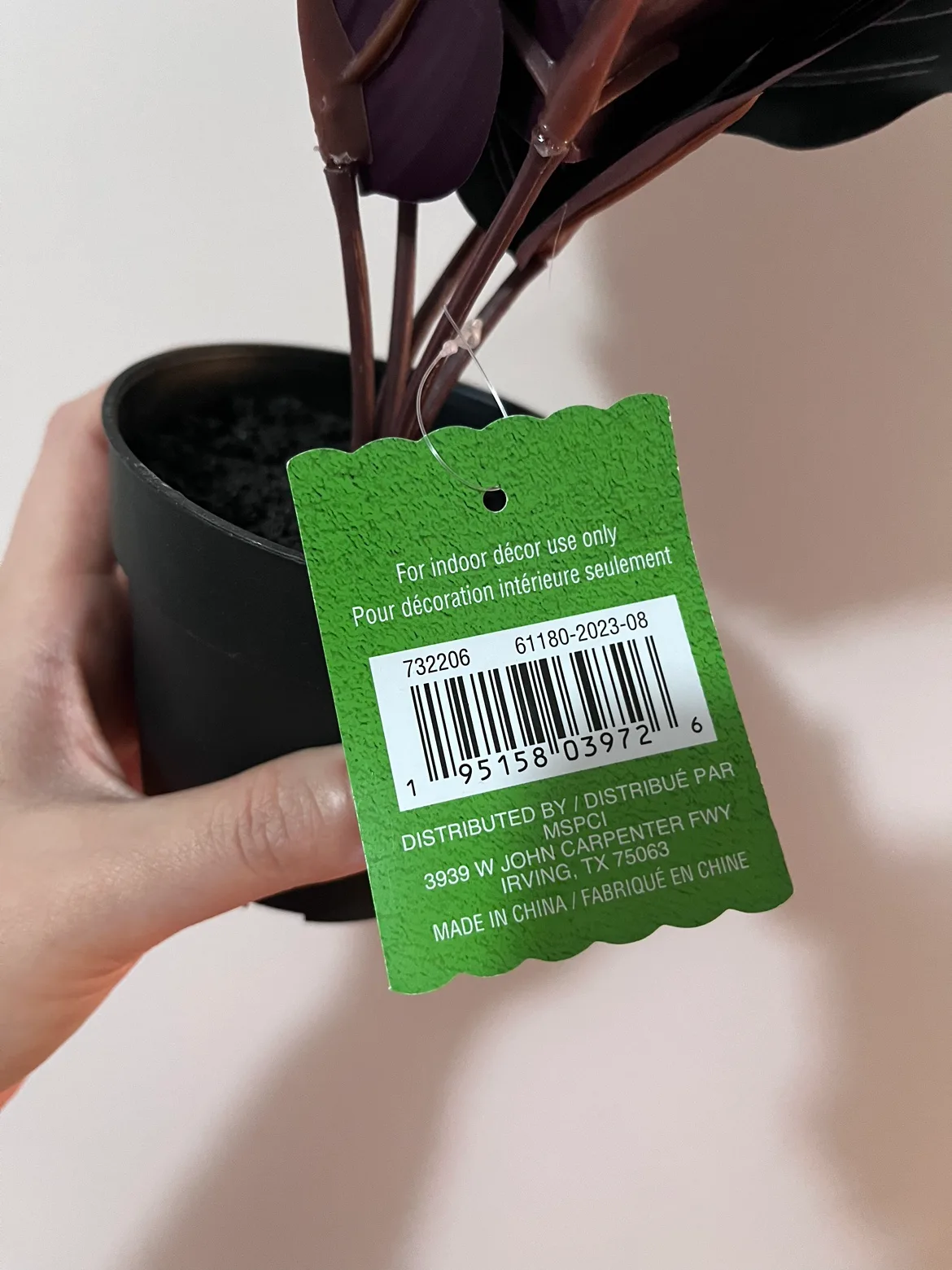 Artificial Calathea Plant image indicator(3)