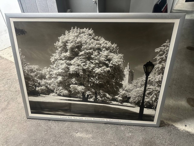 Framed Art of Central Park & Mirror