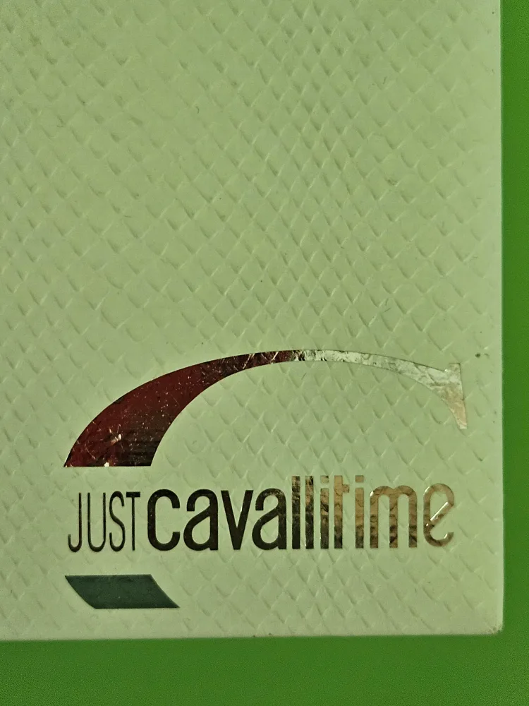 Just Cavalli Time Women's Silver Bracelet Watch image indicator(3)