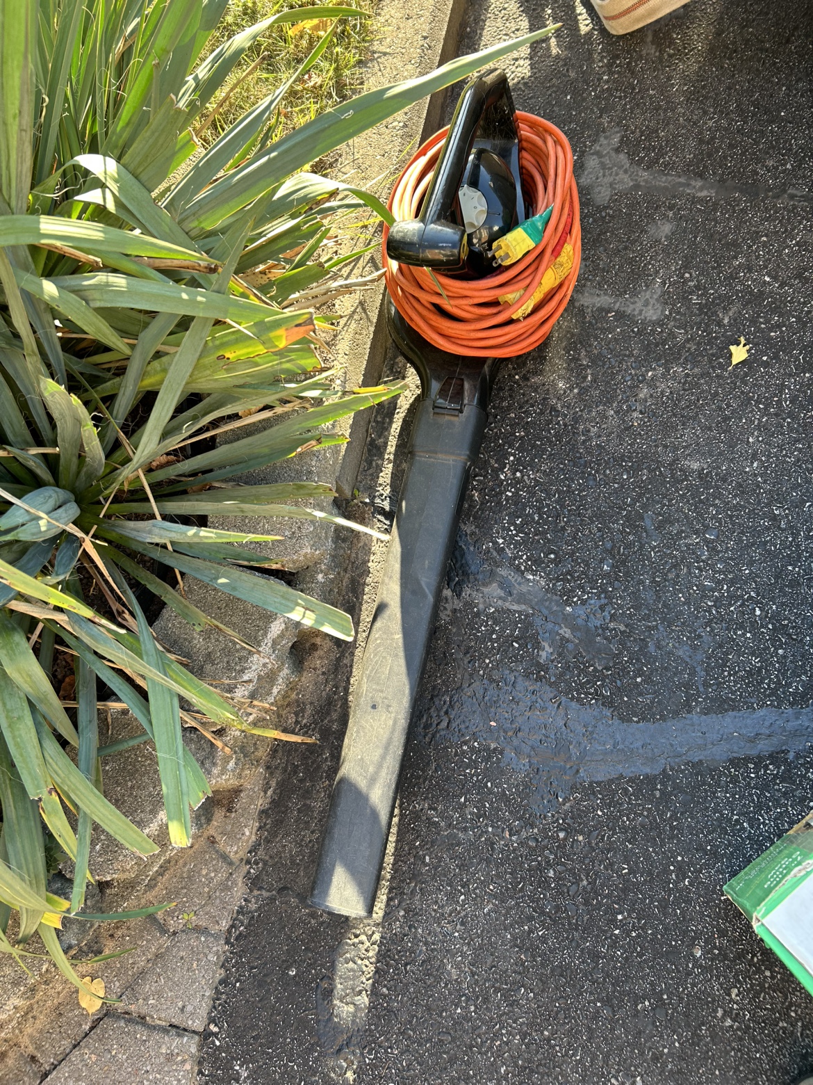 Toro Electric Super Blower Vac