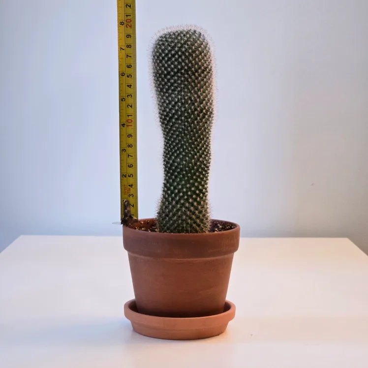 comment article thumbnail