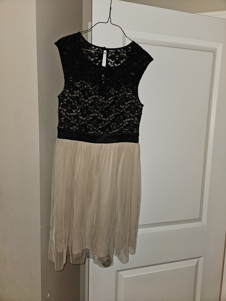 Black and Beige Lace Dress