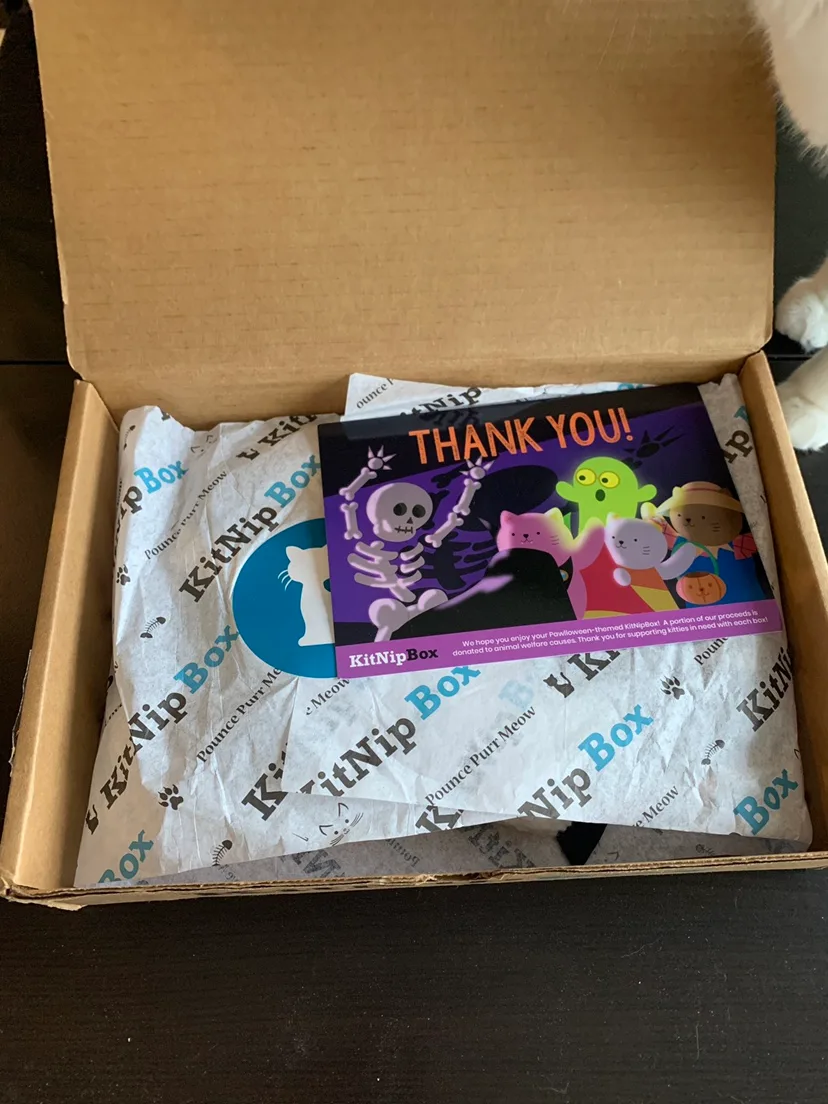 ‼️MUST-GO‼️ declutter - KitNipBox Halloween Cat Box image indicator(2)